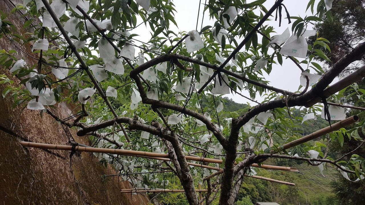 La La Shan 5.5Knong Zhuang Hualing Εξωτερικό φωτογραφία